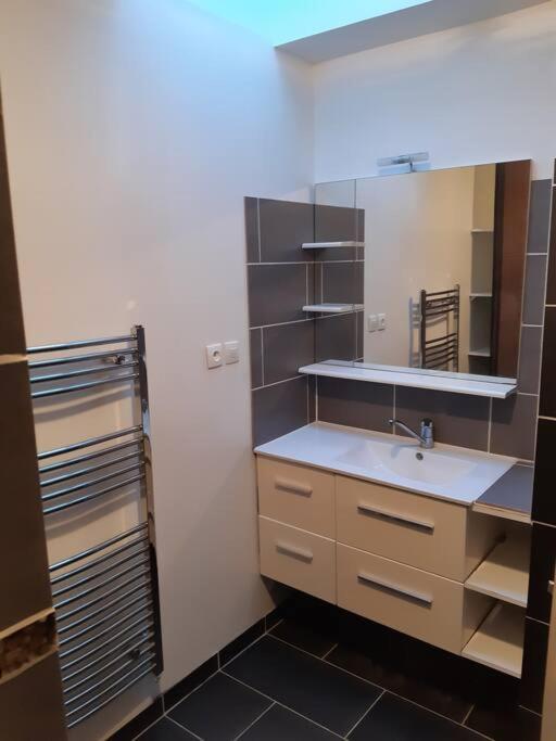 Le Loft - Villa De 70M² Avec Jardin Clos Chalon-sur-Saône Eksteriør billede